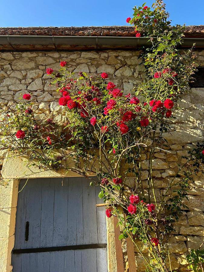 Location de vacances pour 2 personnes, avec jardin ainsi que piscine et sauna, animaux acceptés à Saint-Sozy - 2