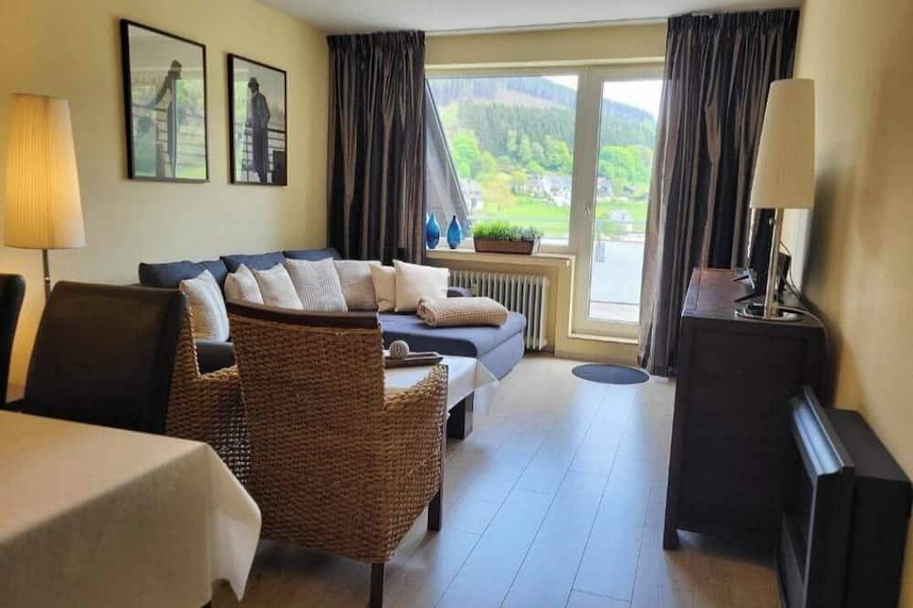 Ganze Wohnung, Panoramablick Winterberg in Silbach, Winterberg