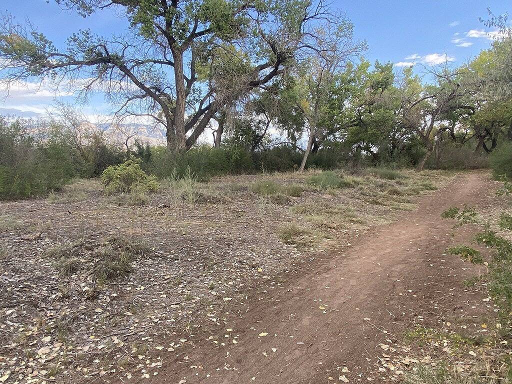 Geräumige Oase mit spektakulärer Aussicht! in Corrales, Sandoval County