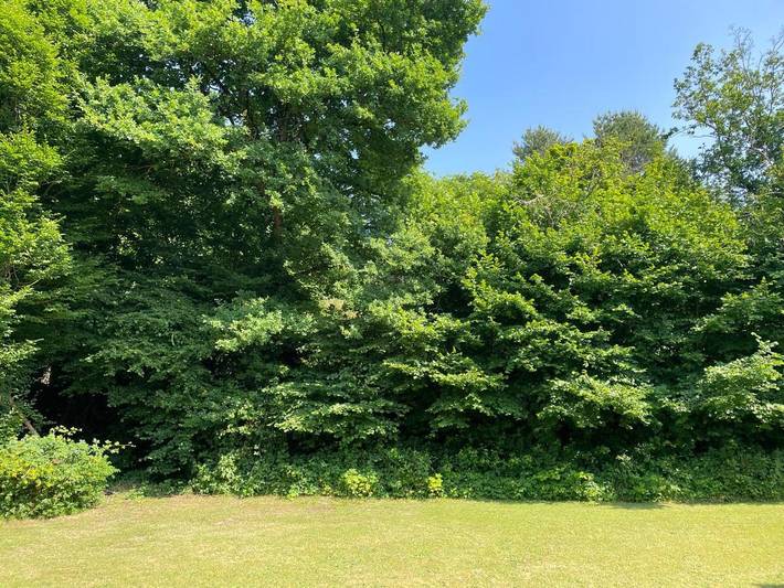 Gîte pour 2 personnes, avec terrasse et jardin à Bouloire - 2