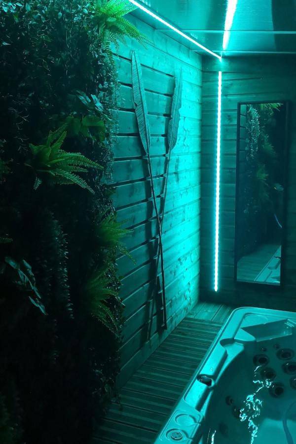 Gîte pour 2 personnes, avec jacuzzi et jardin à Anneville-sur-Scie - 4