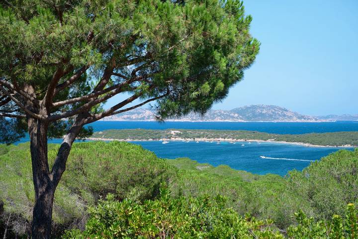 Appartamento intero, Appartamento 'Villa Solaris' con Vista Mare, Wi-Fi e Aria Condizionata in Conca Verde, Santa Teresa Gallura