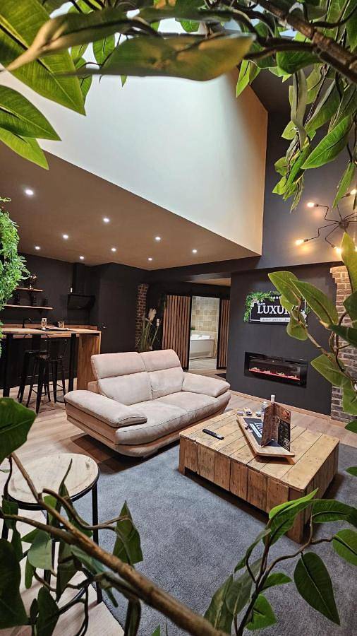 Appartement entier, Luxury Vendôme - Loft - suite de luxe - Jacuzzi - Appartement entier in Vendôme, Vallée de la Loire