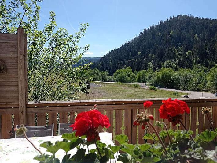 Gîte pour 4 personnes, avec jardin et balcon dans Saint-Dié-des-Vosges - 2