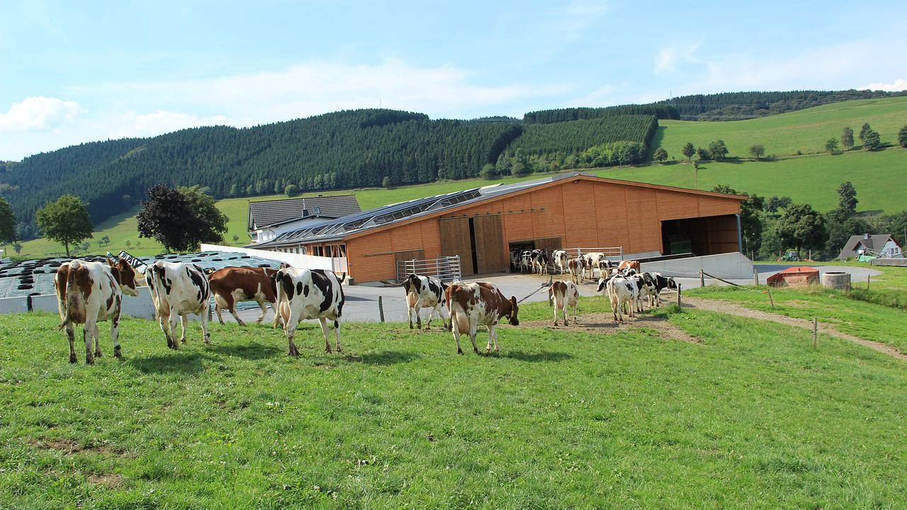 Ganze Ferienwohnung, Ferienwohnung für 2 Personen (30 m²) in Schmallenberg in Schmallenberg, Hochsauerlandkreis