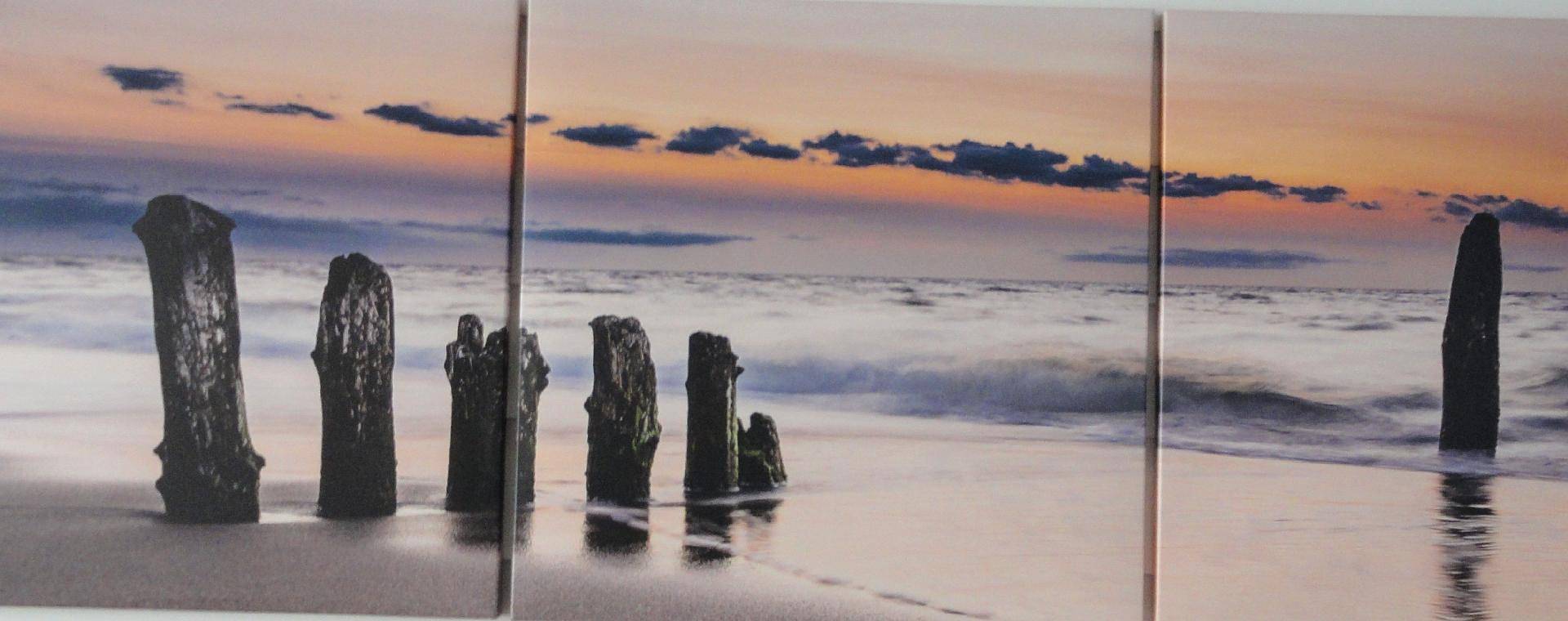 Sommerhaus "De Zeester" in Egmond, Egmond aan Zee