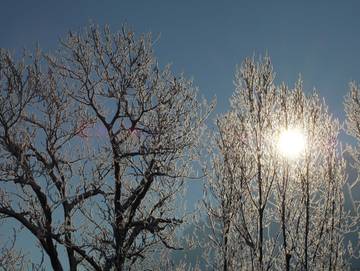 Bauernhof für 3 Personen in Alberschwende, Bodensee (Österreich), Bild 4
