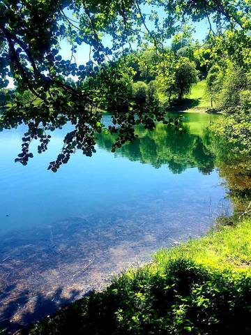 Ferienhaus für 12 Personen in Udler, Vulkaneifel, Bild 4
