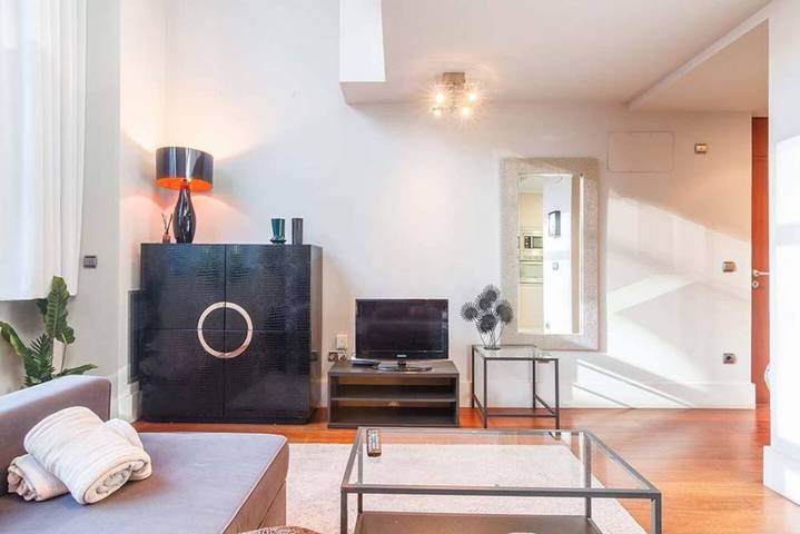 Appartement entier, Appartement de vacances pour 1 personne in Spa-Balneario Jardines de Albia (Bilbao), Bilbao