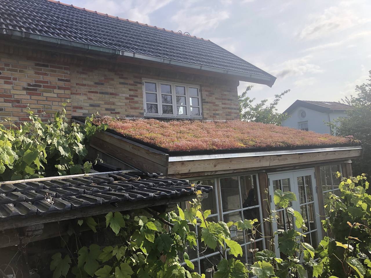Öko-Haus zwischen Meer und Fjord in Hundested, Hovedstaden