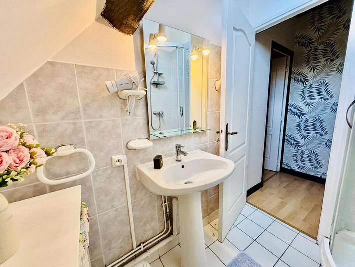 Gîte pour 4 personnes, avec jardin et terrasse, animaux acceptés à Le Breuil - 3