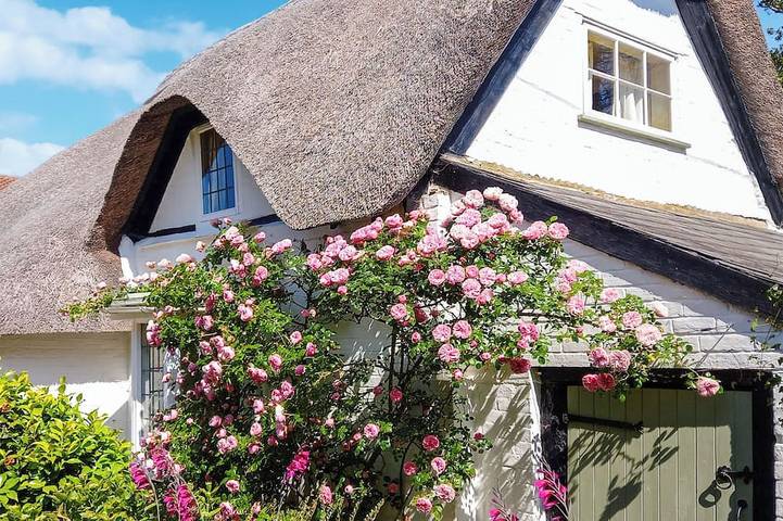 Cottage for 5 people, with garden in Barton on Sea