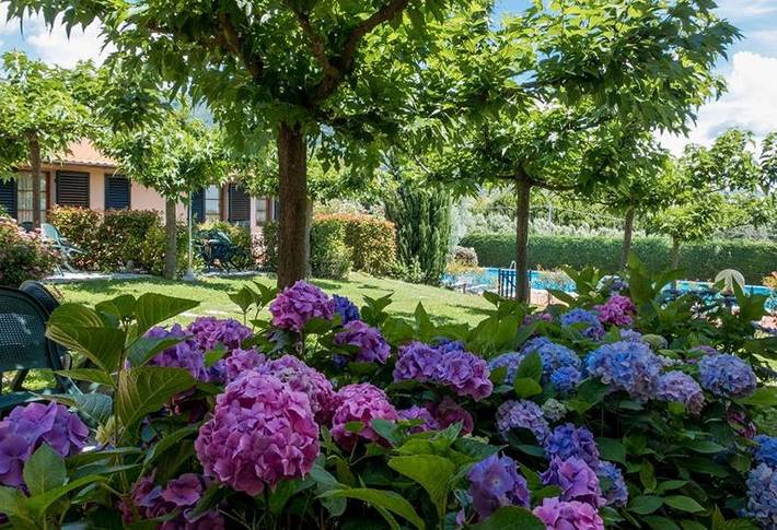 Gîte pour 4 personnes, avec piscine ainsi que jardin et terrasse à Pistoia - 3