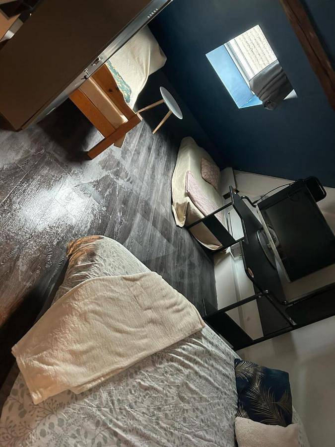 Gîte pour 9 personnes, animaux acceptés à Faverges - 3