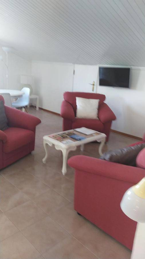 Maison d’hôte pour 10 personnes, avec vue et jardin dans Pinhel - 4