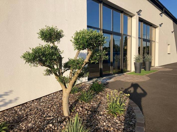 Location de vacances pour 12 personnes, avec jardin ainsi que vue et piscine à Dollon - 3