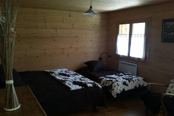 Gîte pour 12 personnes, avec terrasse et jardin, animaux acceptés dans Col De La Colombière - 2