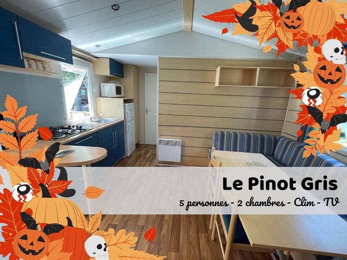 Location de vacances pour 5 personnes, avec piscine et terrasse, animaux acceptés à Boofzheim - 2