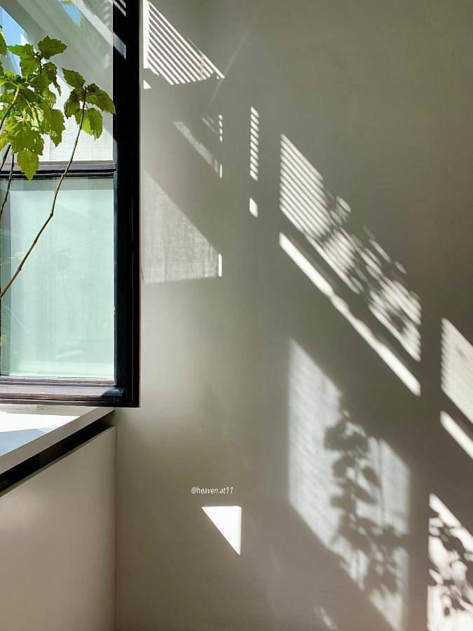 Chambre d’hôte pour 3 personnes, avec Balcon et Jacuzzi ainsi que Terrasse et Vue à Gand - 4