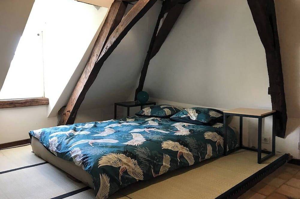Appartement entier, Gite de l'île d'Eole in La Chapelle-sur-Loire, Vallée de la Loire