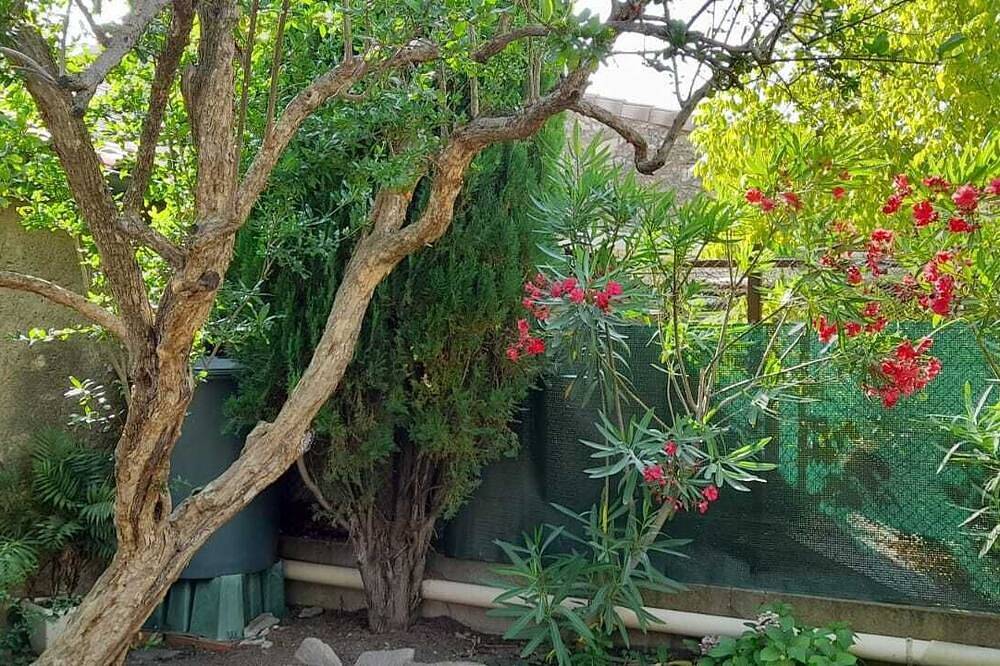 Maison de vacances