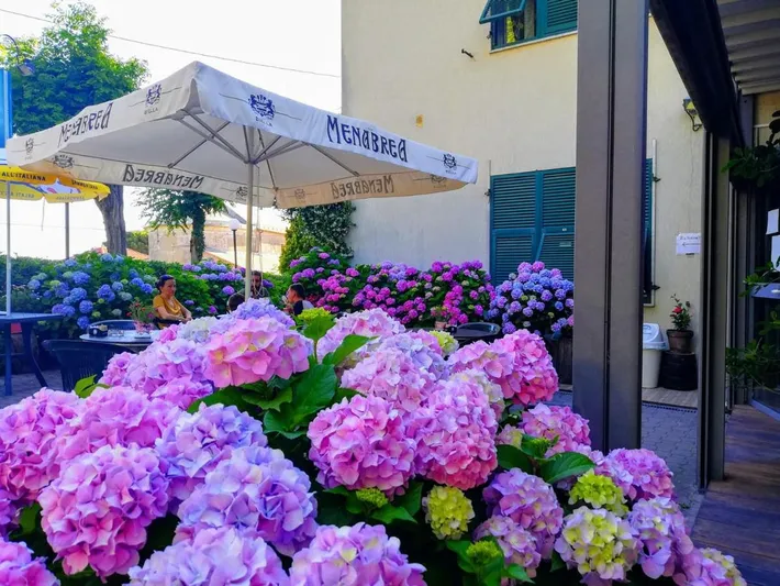 Hotel per 2 persone, con giardino e terrazza, con animali domestici - 1