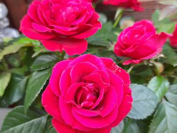 Ferienwohnung für 2 Personen in Rerik, Neubukow-Salzhaff, Bild 4