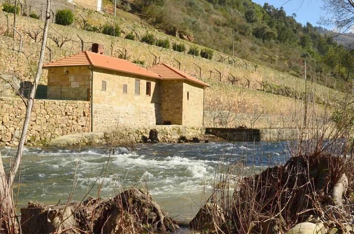 Casa de férias para 2 pessoas, com vista e jardim e ainda vista para o lago, com animais de estimação em Lamego