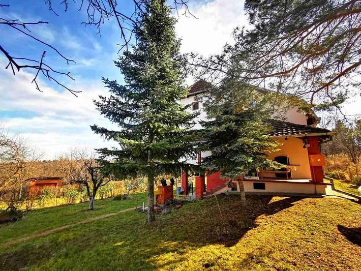 Location de vacances pour 15 personnes, avec bassin pour enfant et jardin ainsi que piscine et jacuzzi à Novi Sad - 4