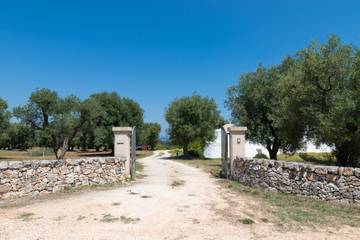 Villa per 4 Persone in Ostuni, Valle D'Itria, Foto 4