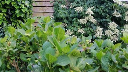 Ferienwohnung für 4 Personen in Saarschleife, Mettlach, Bild 1