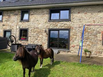 Gîte pour 8 personnes, avec terrasse et jardin, animaux acceptés dans Ondenval