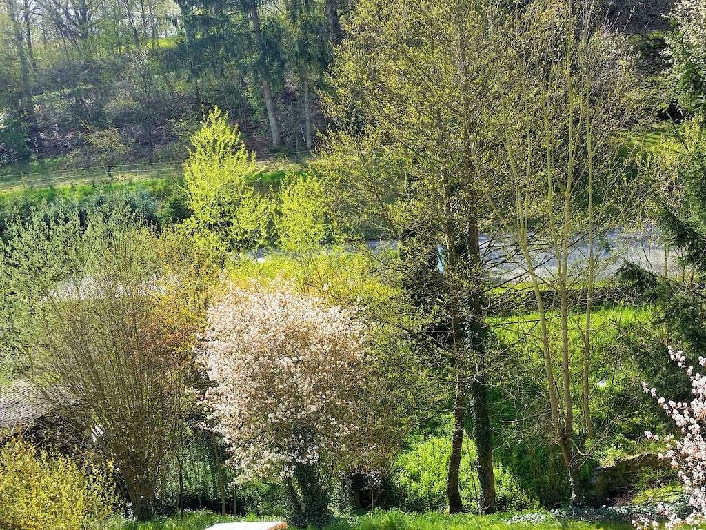 Ferienwohnung mit 1 Schlafzimmer in Waldsolms, Lahn-Dill-Kreis