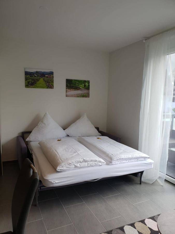 Maison d’hôte pour 7 personnes, avec vue et balcon à Titisee-Neustadt - 3