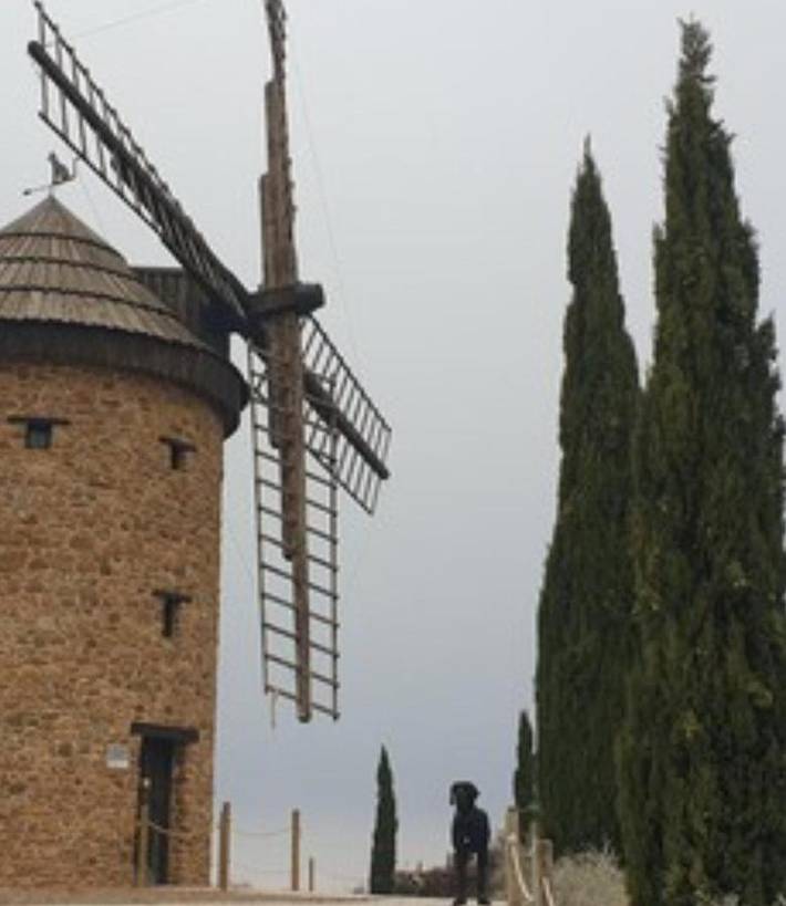 Chalet para 10 personas, con jardín y vistas, Se admiten mascotas en La Rioja