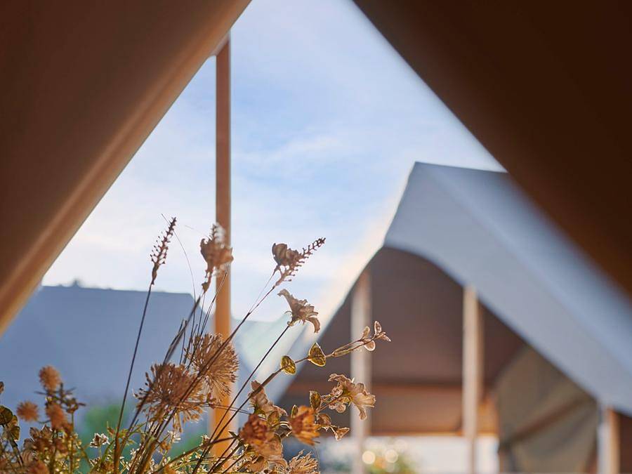 Camping La Rabine - Albergue 5 personas - Bungalow de lona "Tente Lodge" de 26 m² in Machecoul-Saint-Même, Nantes region