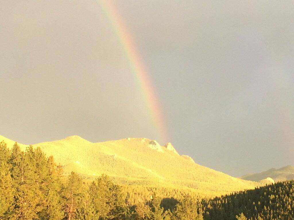 Hochragende Kiefern - Berg Modern Nederland Retreat in Gilpin County