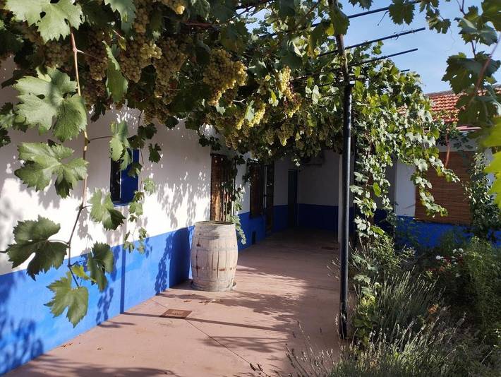 Casa de vacaciones para 8 personas, con vistas y jardín en Provincia de Ciudad Real - 2