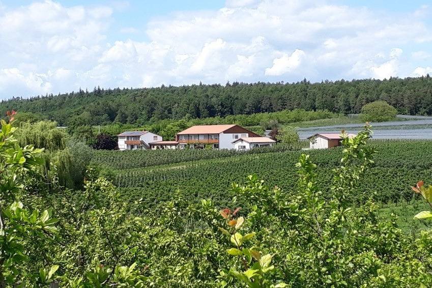 Ganze Ferienwohnung, Erlenhof - Ferienwohnung Typ B, 2-Zimmer-Fewo, 45 qm in Immenstaad am Bodensee, Region Bodensee-Oberschwaben