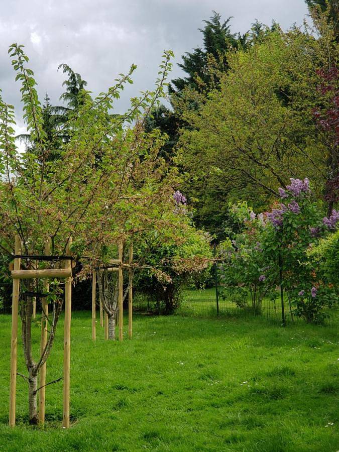 Location de vacances pour 2 personnes, avec terrasse et piscine ainsi que jardin et vue à Ceton - 3