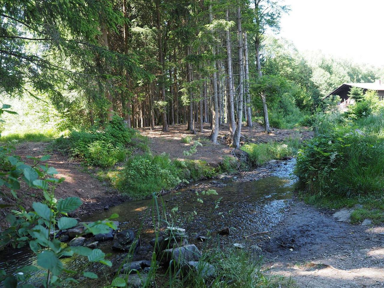 Ganze Wohnung, 75 m² Ferienwohnung für 6 Personen mit Terrasse & Hund erlaubt in Kummersdorf (Arrach), Arrach
