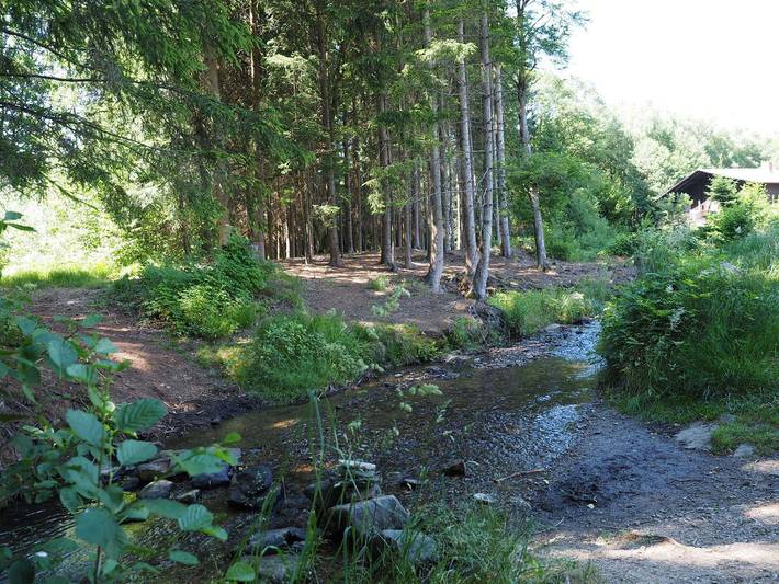 Ferienwohnung für 6 Personen, mit Seeblick und Terrasse, mit Haustier in der Oberpfalz - 4
