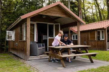 Location de vacances pour 4 personnes dans Nijverdal