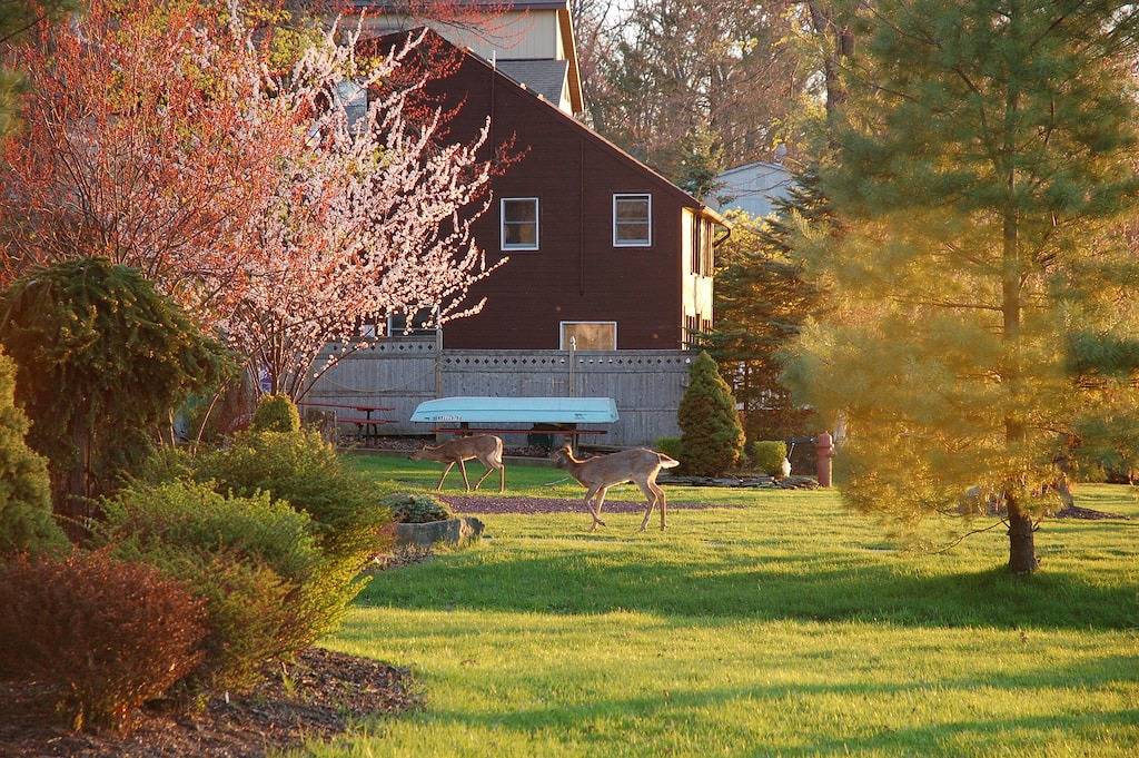 Schöne Haus am See - Whirlpool, Sauna, Billardtisch in Hickory Run State Park