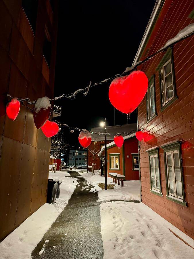 Ferienwohnung für 2 Personen, mit Haustier in Tromsø