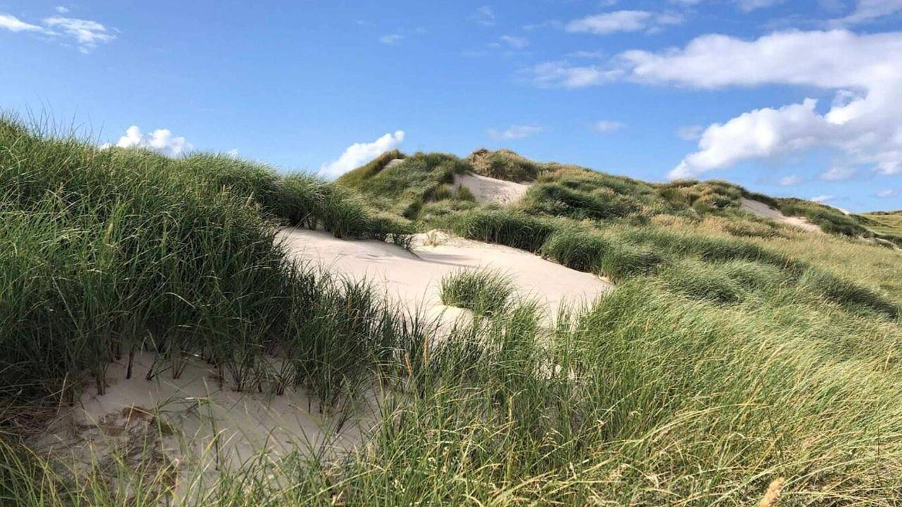 Ferienhaus für 2 Personen (32 m²) in Vejers Strand in Vejers Strand, Varde