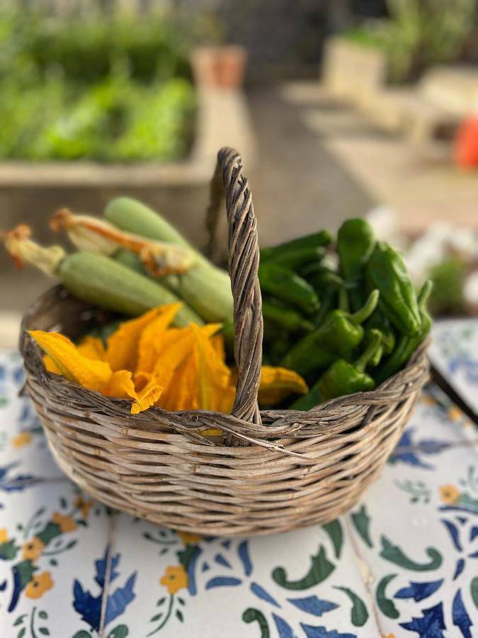Maison d’hôte pour 2 personnes, avec vue ainsi que jardin et terrasse à Capri - 4