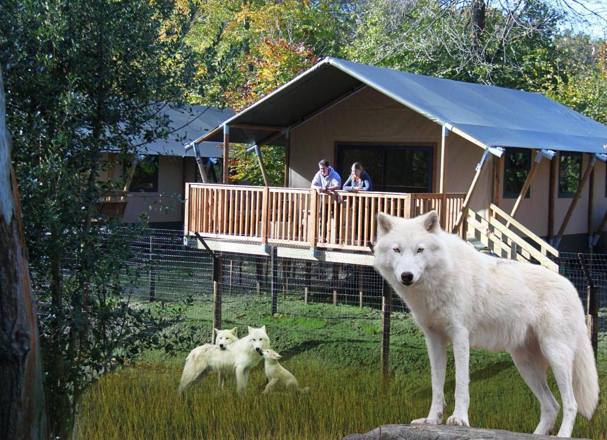 Cerza Safari Lodge in Hermival-les-Vaux, Région de Lisieux