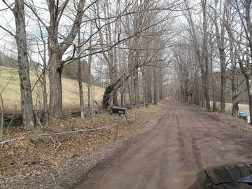 Agriturismo für 6 Personen in New York State, Bild 4