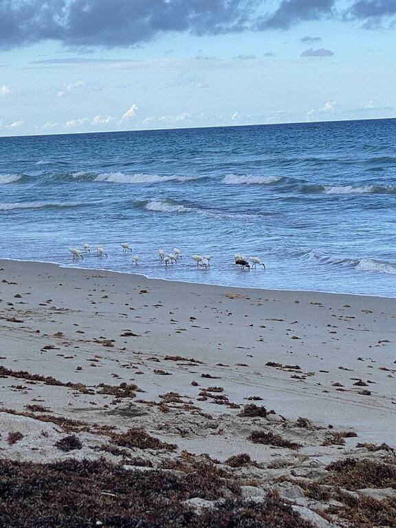 Vacation rental for 6 people, with balcony and hot tub as well as pool in Hutchinson Island